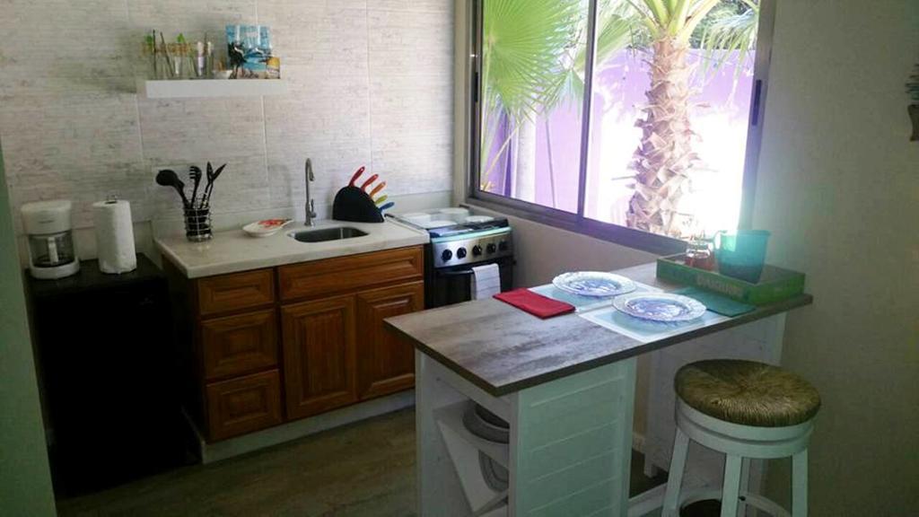 Sandcastle Beach Apartments شاطئ بالم المظهر الخارجي الصورة