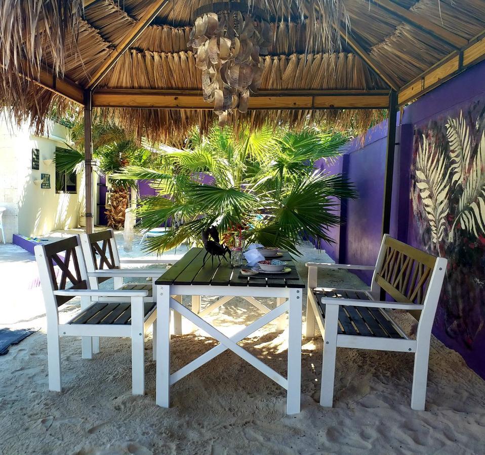 Sandcastle Beach Apartments شاطئ بالم المظهر الخارجي الصورة