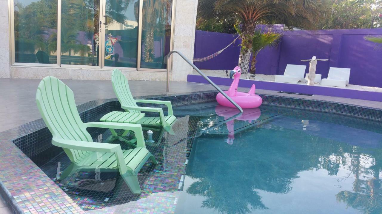 Sandcastle Beach Apartments شاطئ بالم المظهر الخارجي الصورة