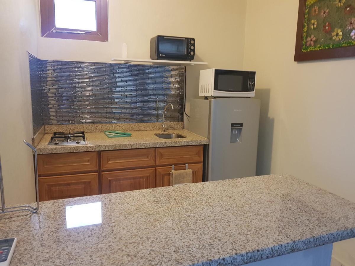 Sandcastle Beach Apartments شاطئ بالم المظهر الخارجي الصورة